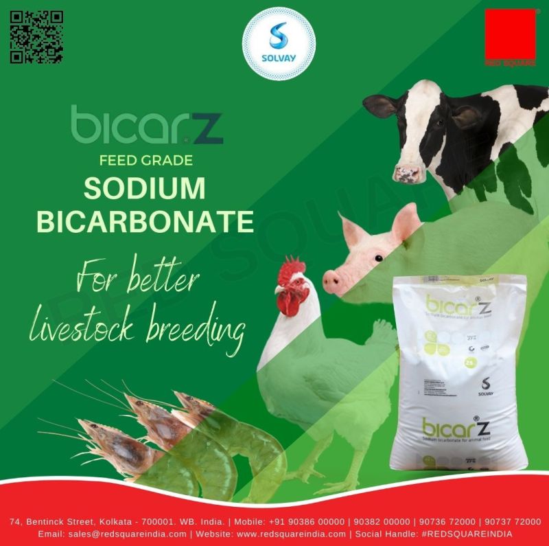 Sodium Bicarbonate Feed Grade Solvay