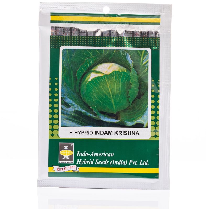 Cabbage Indam Krishna Hy Seeds