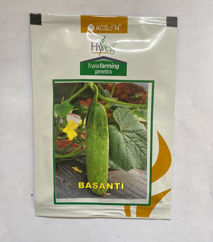 Cucumber Basanti Seeds