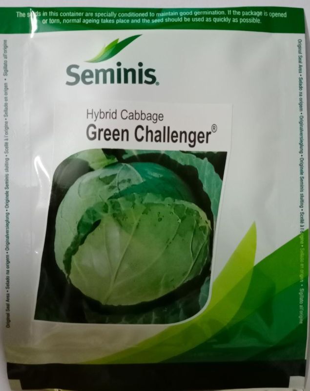 Seminis Green Challenger Hybrid Cabbage Seed