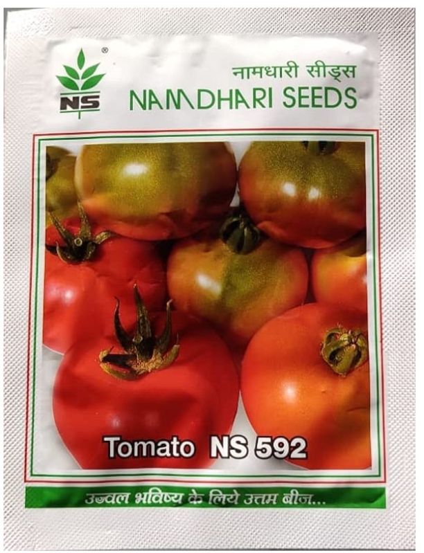 Namdhari Seeds Ns 592 Tomato