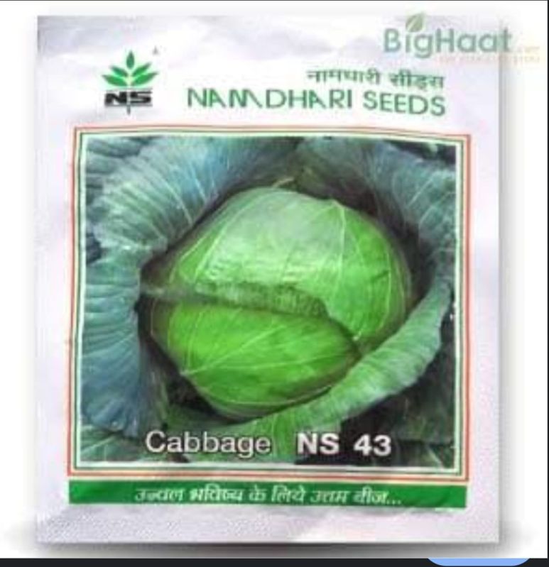 Ns 43 Cabbage Seed