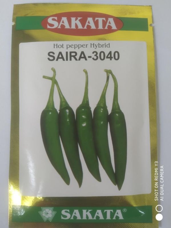 Sakata Chilli Saira-3040