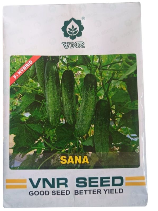 Sana Cucumber Seeds - VNR | F1 Hybrid