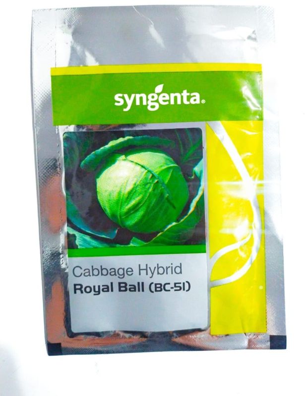 Syngenta Cabbage Royal Ball BC 51