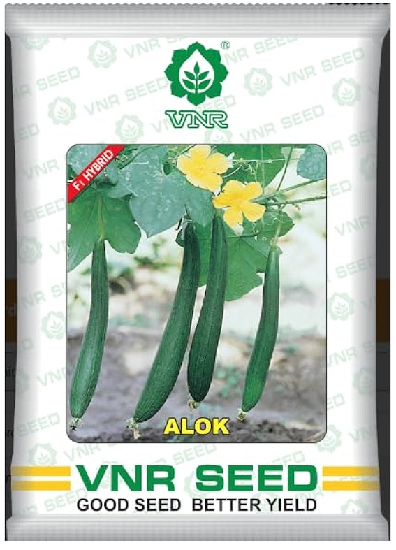 VNR Alok F1 Hybrid Sponge Gourd Seeds