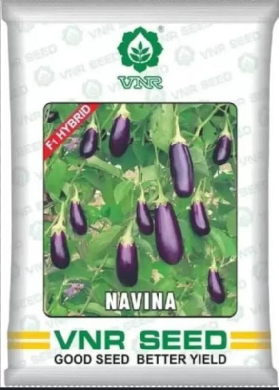 Vnr Navina Brinjal Seeds