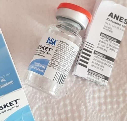 Anesket Injection Now 10ml