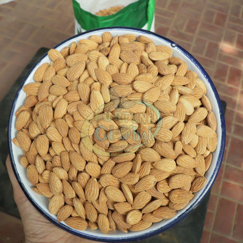 Almond Nuts