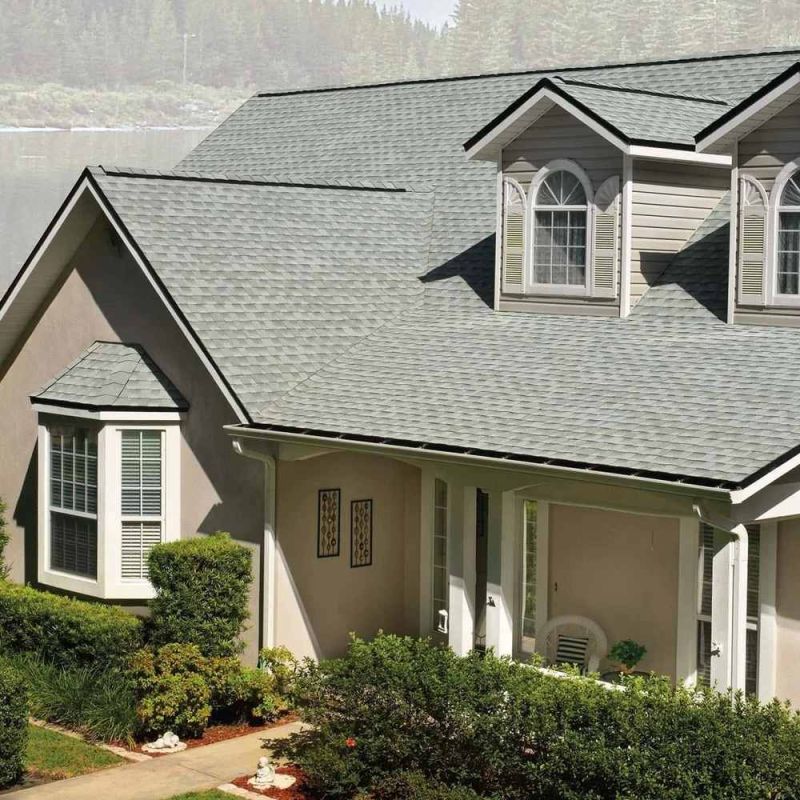Timberline Roof Shingle