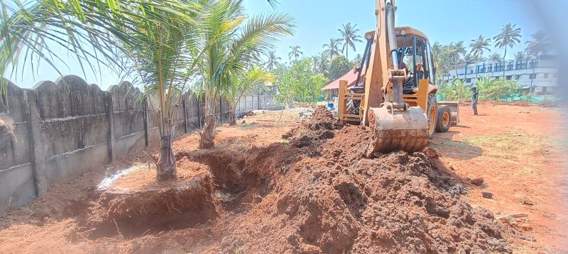 Tree Transplanting Services