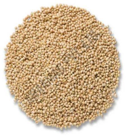 Barnyard Millet Seeds