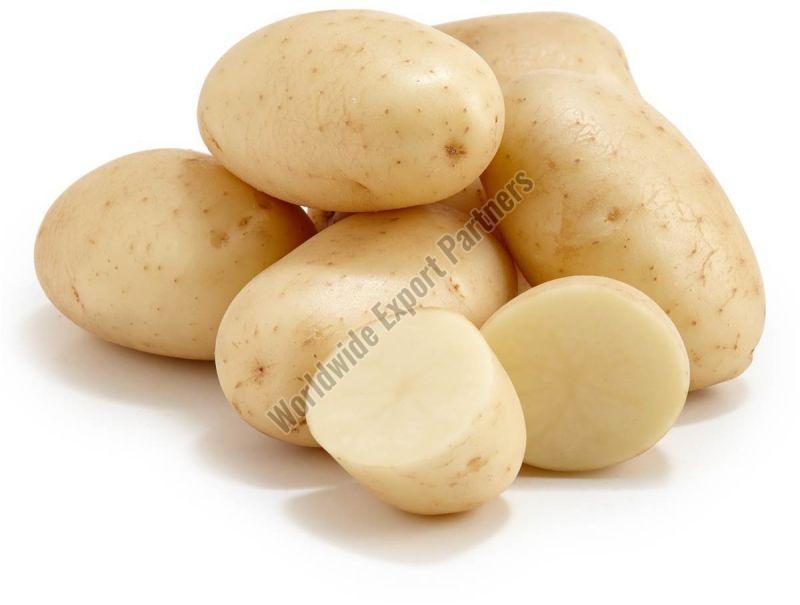 fresh potato