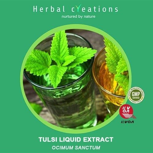Ocimum Sanctum Tulsi Extract, Form : Liquid