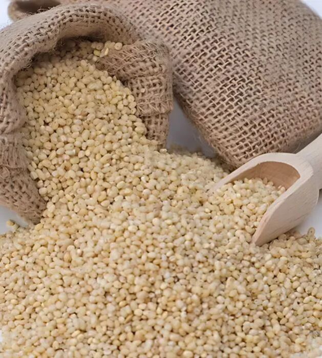 Bulk Proso Millet