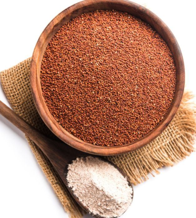 Finger Millet (Ragi)