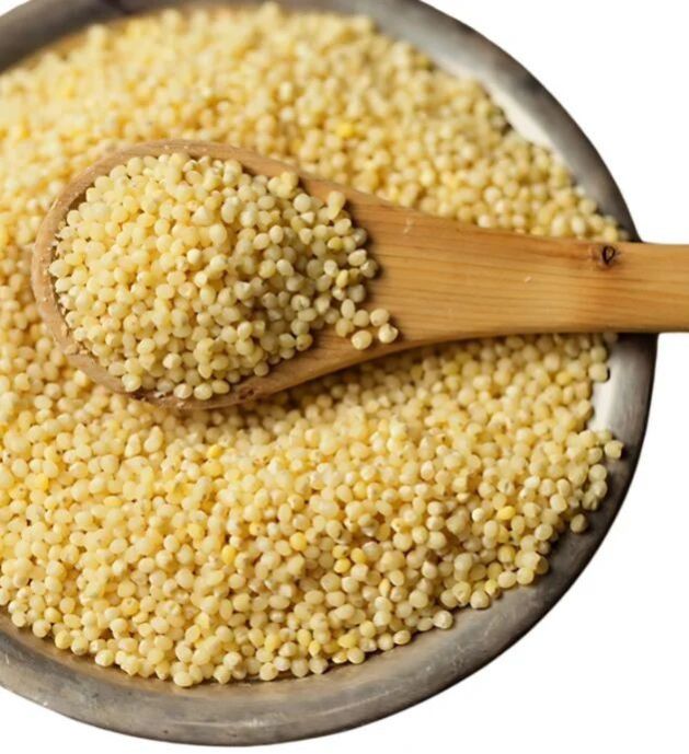 Foxtail Millet (Korra,Italian Millet)