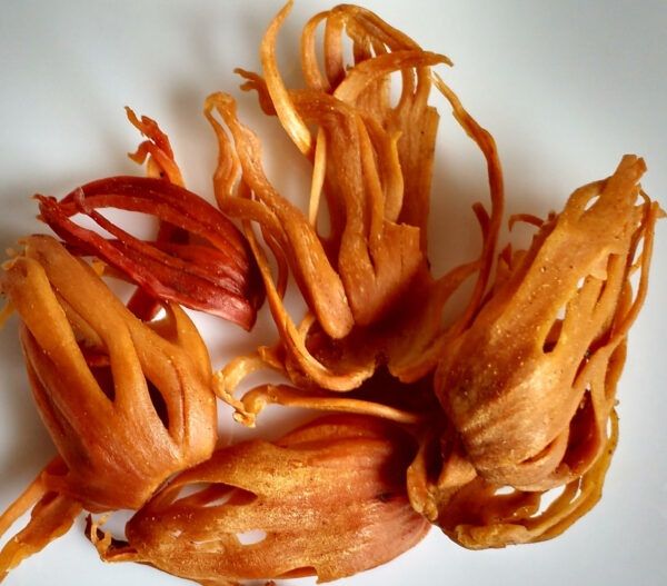 Siddab Mace Whole / Sabut Javetri 1Kg