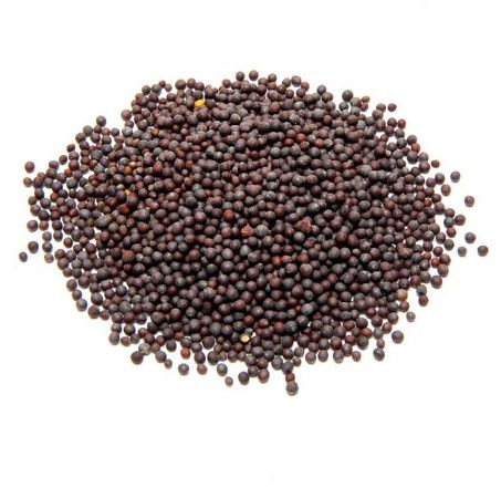 Siddab Mustard Fine Seed / Sarso Ke Bij 1kg