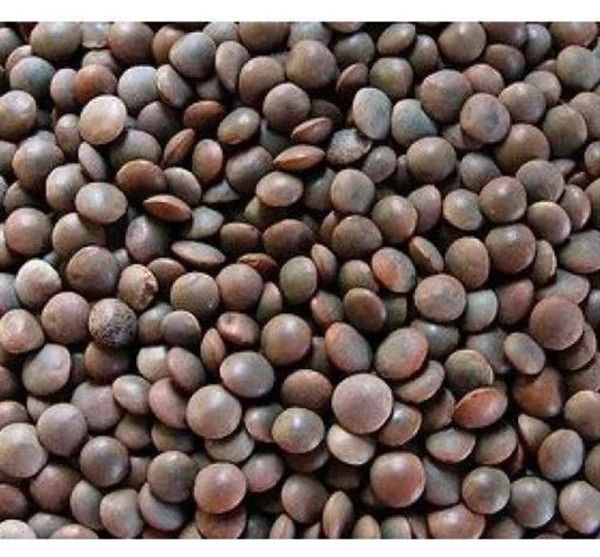 Siddab Whole Lentil / Saabut Dal 5kg