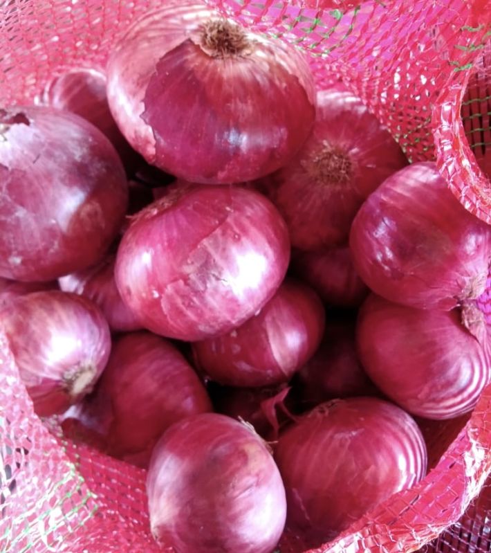 Red Onion