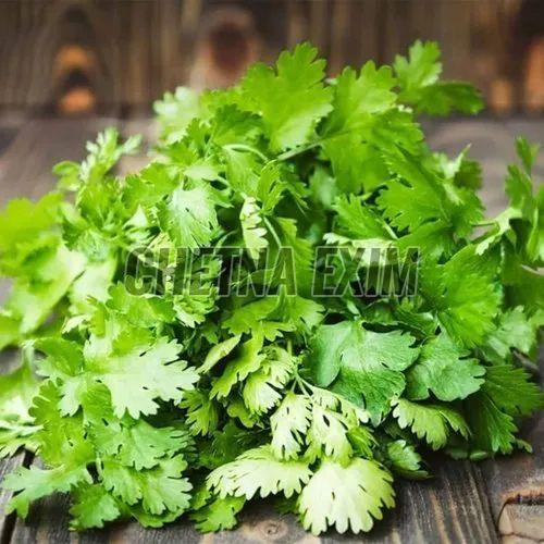 Natural Fresh Coriander Leaves, Color : Green