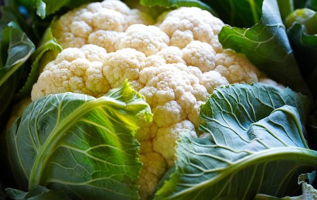 fresh cauliflower