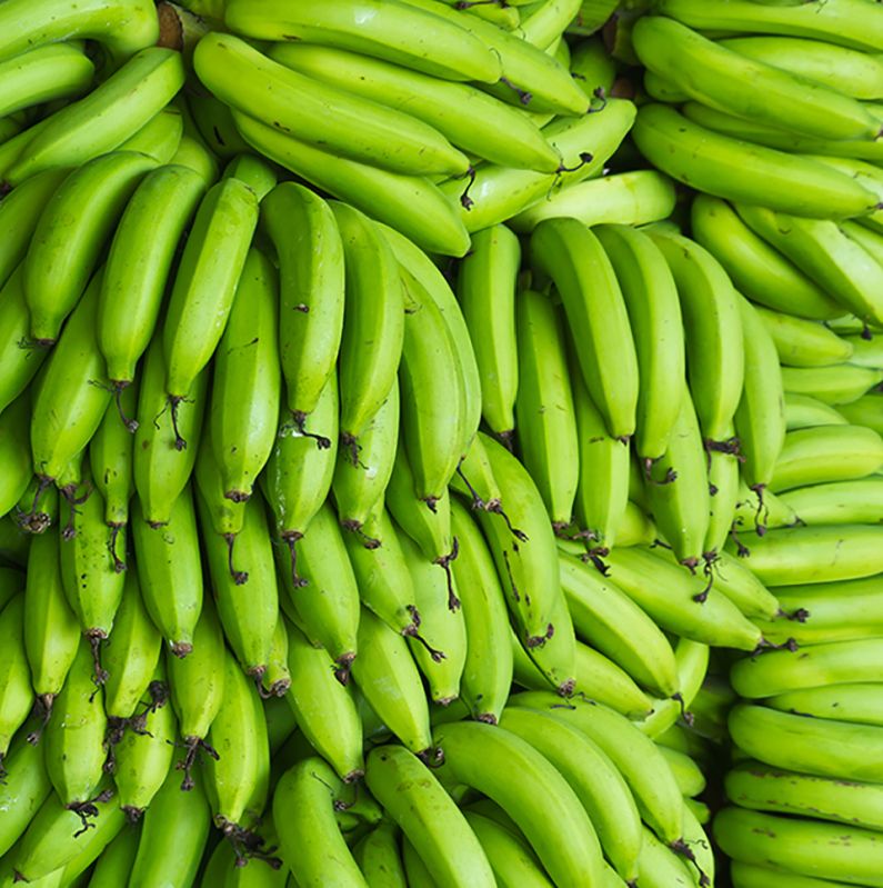 fresh green banana