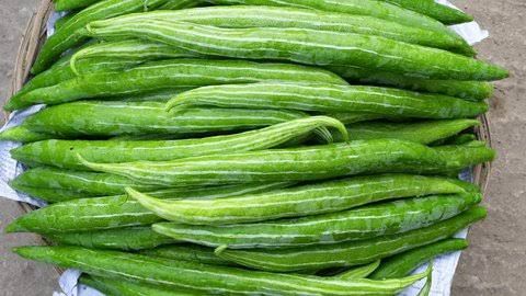 Fresh Snake Gourd