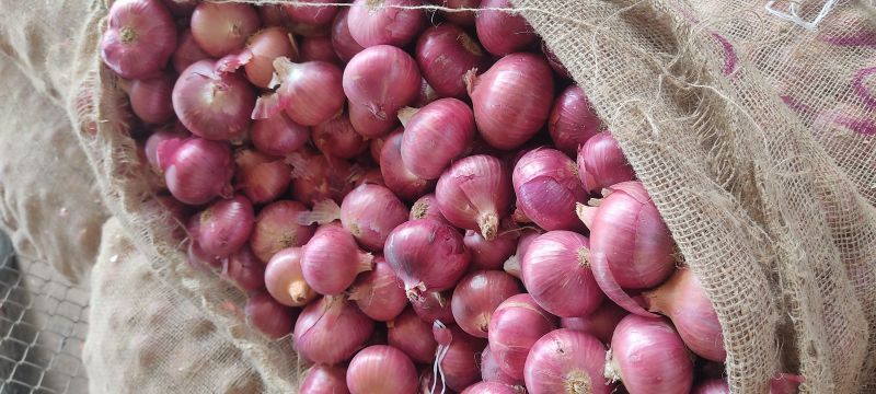 A Grade Red Onion