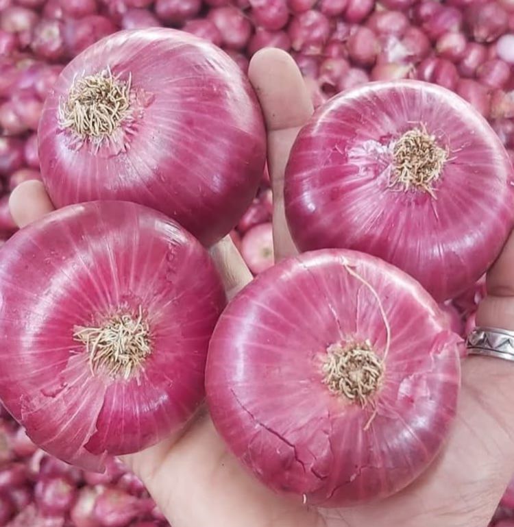 A Grade Red Onion