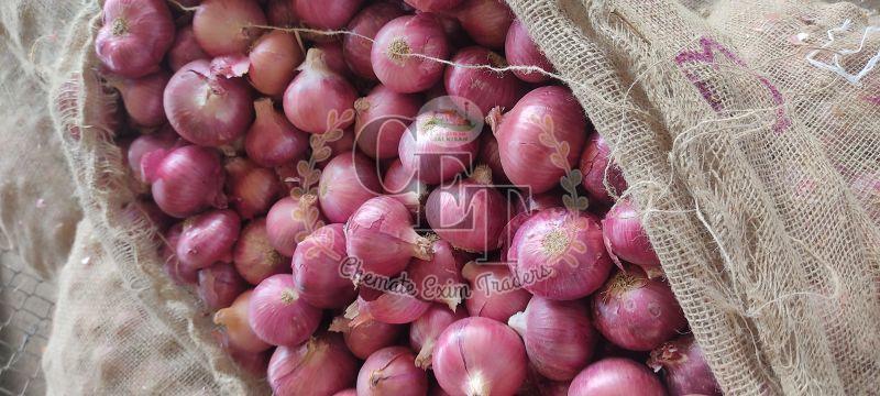 Organic Red Onion