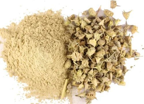 Blended Gokhru Powder