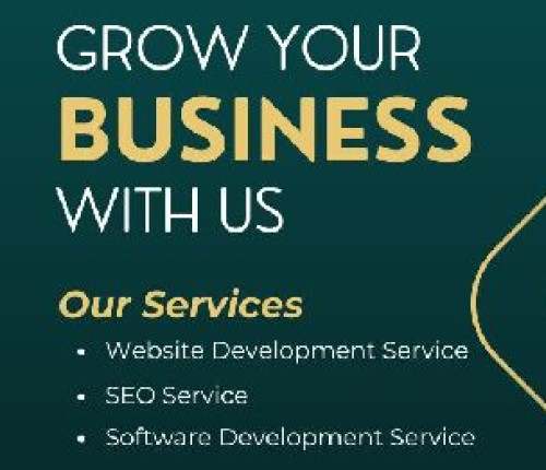 Website Development Service