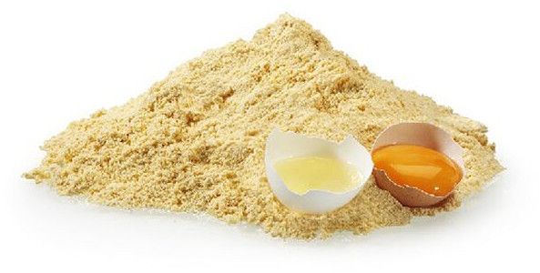 white egg shell powder