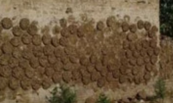 cow dung cake