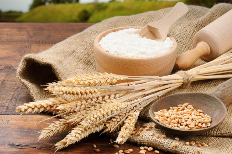 wheat flour