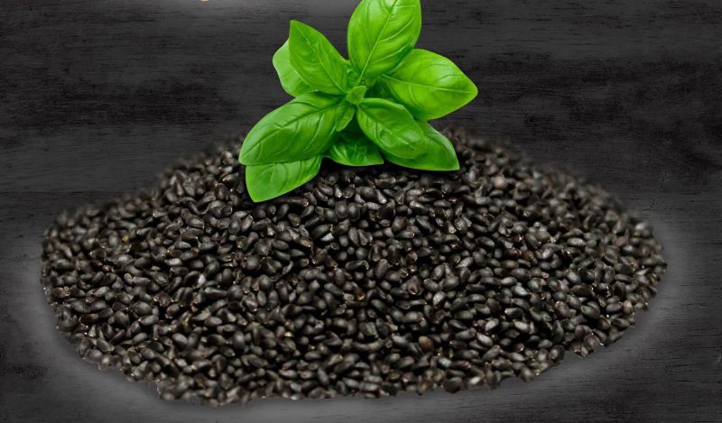 basil seeds