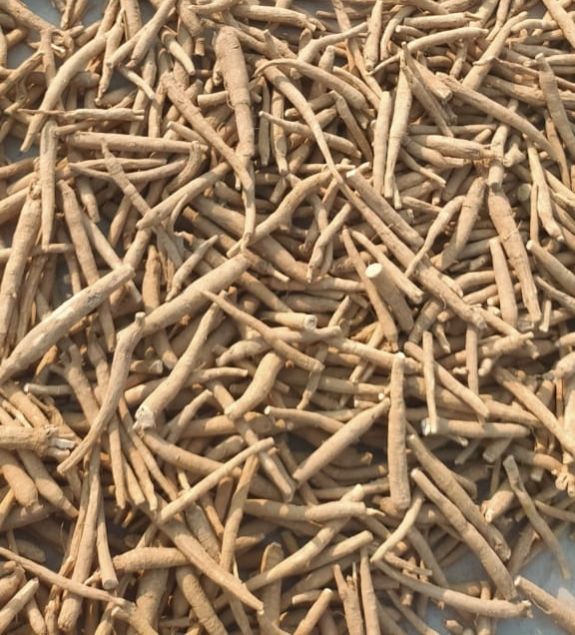 Dried Ashwagandha Root