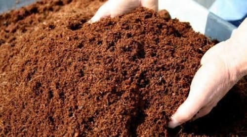 coco peat powder