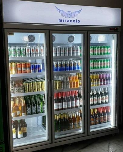 ENERGY EFFICIENT Miracolo Three Door Freezer