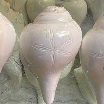 Natural Raund Shankh