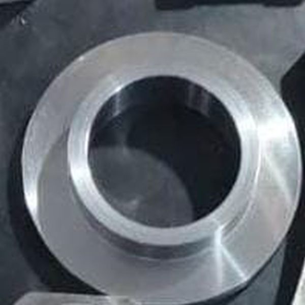 Stainless Steel Flanges
