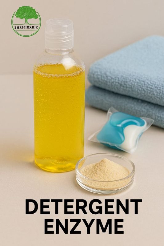 Detergent Enzyme