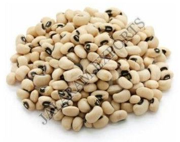 Organic Cowpea Seeds, Color : Brown, Packaging Size : 20Kg, 50Kg