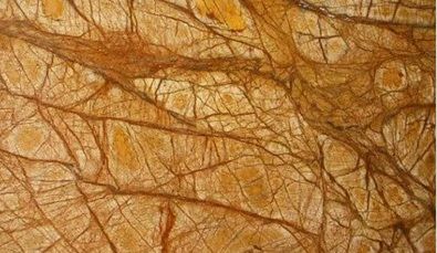 Forest Gold Marble Slabs