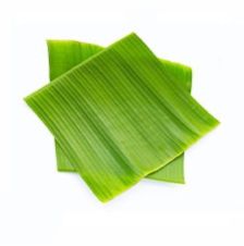 Banana Leaves, Color : Green