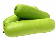 Bottle Gourd