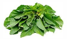 Green Amarnath Leaves