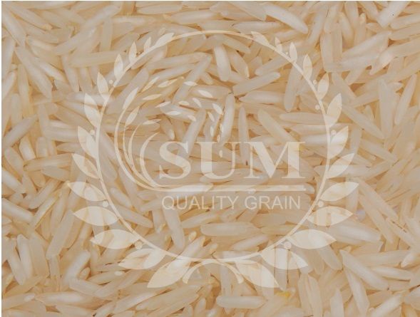 1121 raw basmati rice